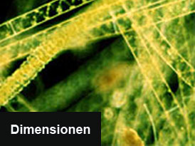 Logo für Ö1-Sendung "Dimensionen". Bild: Ö1