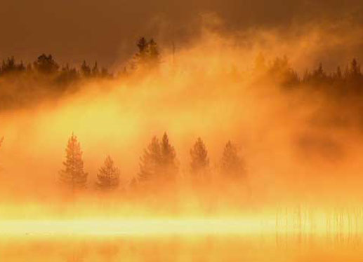 Sonne über dem Nebel taucht Finnlands Sümpfe in goldenes Licht. Bild: Sender