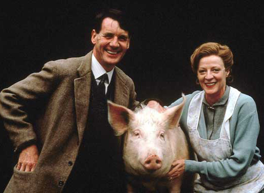 Mit Hilfe von Schwein "Betty" schaffen Gilbert (Michael Palin) und Joyce Chilvers (Maggie Smith) in den Schwarzmarktzeiten den gesellschaftlichen Aufstieg. Bild: Sender