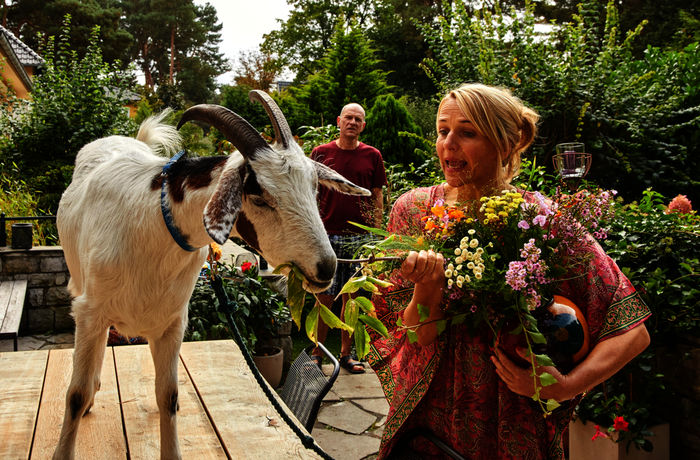 Klima retten für Anfänger: Ziege statt Rasenmäher: Martin (Götz Schubert) und Nina (Tanja Wedhorn) haben Besuch in ihrem Garten. Bild: Sender / ARD Degeto / Michael Handelmann,