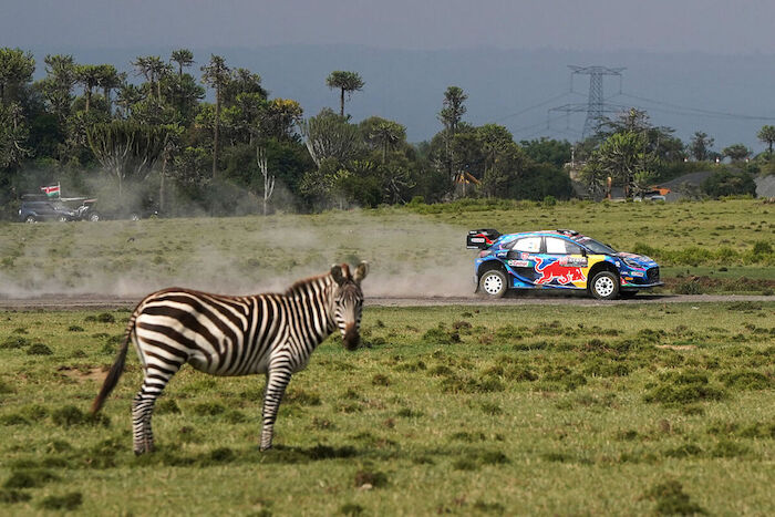 WRC - Rallye Kenya – Ott Tänak. Bild: ServusTV/ Andre Lavadinho / @World / Red Bull Content Pool